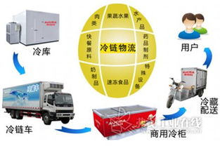 國內外聯動打造北方食品冷鏈物流集散中心，優化供應鏈管理服務